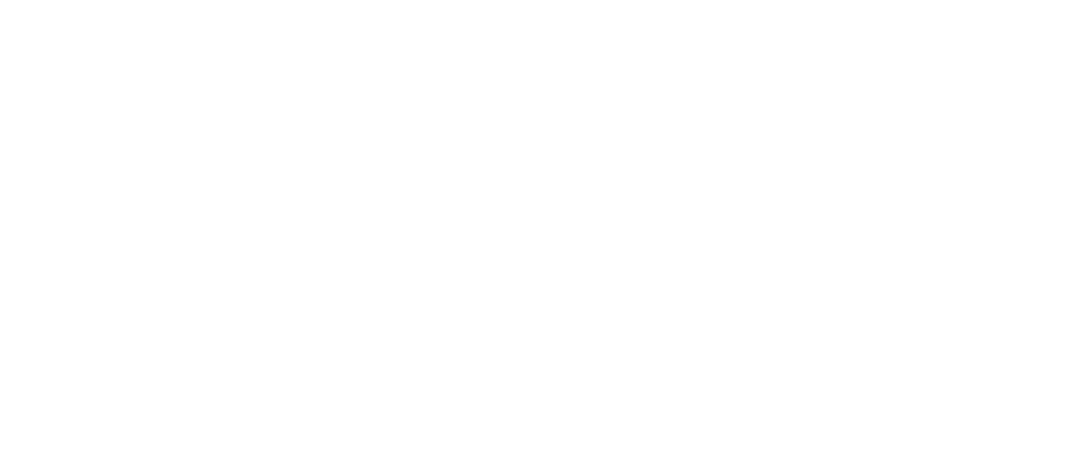 vision